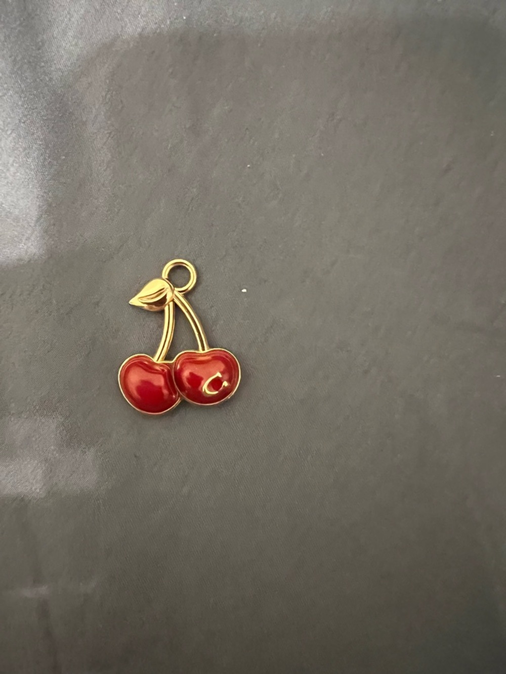 COACH Cherry Cluster Jewelry Charm (charm only )